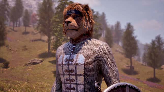 A Khajiit soldier wears chainmail.