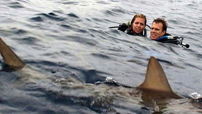 People looking frightened at sharks